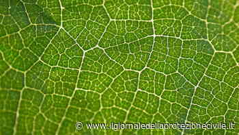 GELSO, il database di Ispra sulle buone pratiche di sostenibilità ambientale - Giornale della Protezione civile