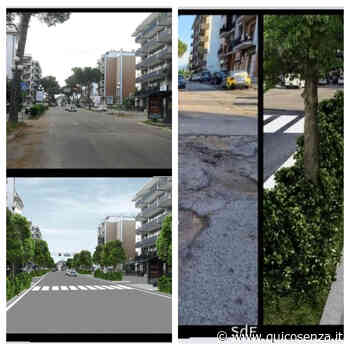Rende, senza pini su via Leonardo da Vinci ma con "alberi più adatti". Il prima e il dopo - Quotidiano online