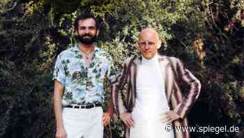 (S+) Als Michael Foucault im Death Valley LSD nahm – und es plötzlich Sterne regnete - DER SPIEGEL