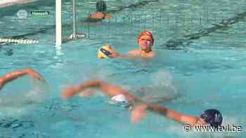 Europees waterpolotornooi in Hasselt lokt 40 teams naar Kapermolen - TV Limburg