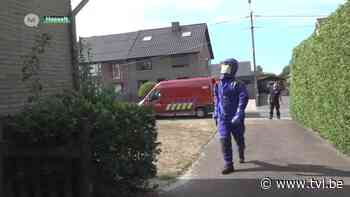 Brandweer verdelgde nu al bijna 14.000 wespennesten - TV Limburg