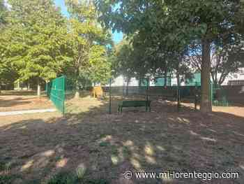 Lissone. In città due nuove aree di sgambamento per cani, ecco dove sono - MI-LORENTEGGIO.COM - LE ULTIME NOTIZIE DI CRONACA, POLITICA, ANNUNCI, SPORT, FOTO E VIDEO DI MILANO E LA LOMBARDIA - Mi-Lorenteggio