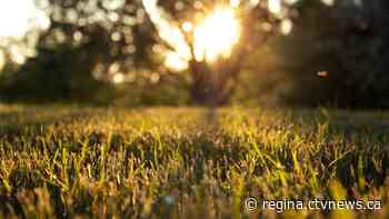 Here's how hot summer temperatures in Sask. stack up against last year
