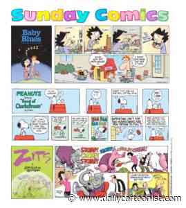 Concord Monitor Revamps Sunday Funnies The Daily Cartoonist - The Daily Cartoonist