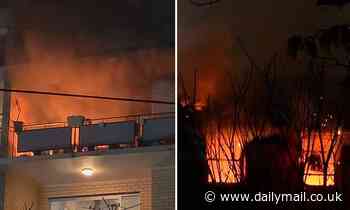 Concord man in critical condition after jumping from a Sydney unit to escape after explosions - Daily Mail