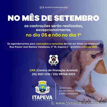Castrações serão em dia diferente neste mês de setembro, em Itapeva - Jornal Ita News