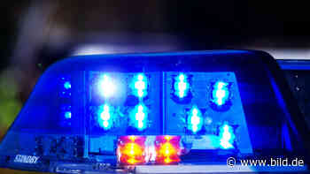 Tödlicher Autounfall in Augsburg: Frau (21) stirbt auf Ikea-Parkplatz - BILD