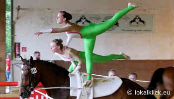 Großes Voltigierturnier beim ZRuFV „von Lützow“ Hamminkeln - Lokalklick.eu - Online-Zeitung Rhein-Ruhr