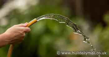 Why you might see Hull City Council staff using a hosepipe during the ban - Hull Live