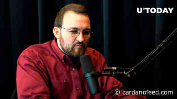 Cardano Founder Speaks on Cause of Crypto Market Crash; ADA Down 8% - Cardano Feed