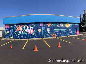 New mural unveiled at Royal Gardens Community League - Edmonton Journal