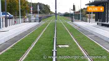 Warum das neue Rasengleis der Tramlinie 3 trotz langer Dürre so grün ist