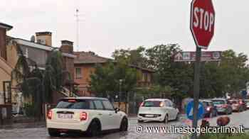 Maltempo, allagamenti e rami caduti - il Resto del Carlino