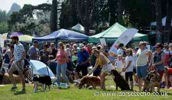 Dog, Sausage and Cider festival at Sutton Poyntz - Dorset Echo