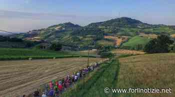 Tutto pronto per la 96^ edizione della Festa dell’Ospitalità di Bertinoro - forlinotizie.net