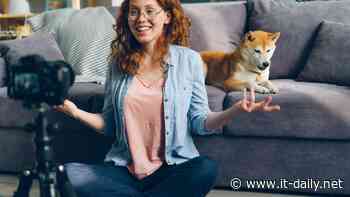 Petfluencer: Nutzer lehnen billige Werbung ab - Onlineportal von IT Management - it-daily.net