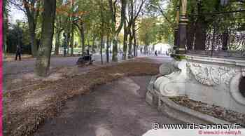 Nancy : l'horticulture et le maraîchage à l'honneur pour "Pépinière en vert" - Ici-c-nancy.fr