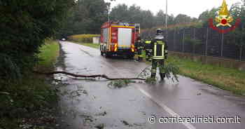 Rieti, nubifragi e allagamenti in città. Escursionisti spagnoli salvati nelle Gole del Farfa - Corriere di Rieti