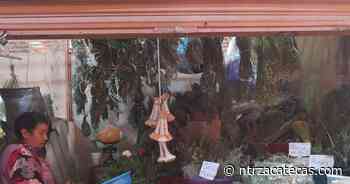 Morosos retrasan la reactivación de mercados en Fresnillo - NTR Zacatecas .com