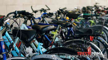 Da Tarvisio a Trieste fino a Venezia: pronto il piano per la maxi ciclovia da 1300 chilometri - TriestePrima