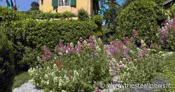 Orto Botanico di Trieste, al via il 29 Agosto le “Passeggiate... - Trieste News