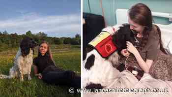 Rossendale woman saves assistance dog's life after devastating diagnosis