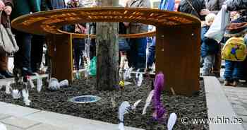 Gedeelte op Haachtsesteenweg waar journaliste doodgereden werd, is voortaan eenrichting - Het Laatste Nieuws