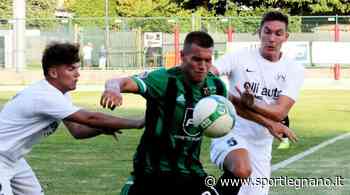 Castellanzese, buone indicazioni dal triangolare contro Lecco e Vis Nova - SportLegnano.it - SportLegnano.it