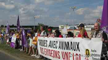 À Osny, des habitants et des militants manifestent contre le cirque et ses animaux sauvages - Le Parisien