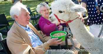 Seniorenheim Haus Margarete: Tierischer Besuch sorgt für Abwechslung und strahlende Gesichter