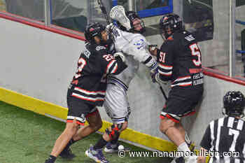 Lacrosse season ends as Nanaimo Timbermen lose to Langley Thunder - Nanaimo Bulletin