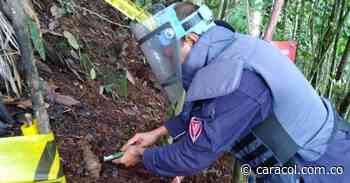 Minas antipersonal fueron destruidas en el norte del Huila - Caracol Radio
