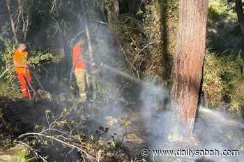 PKK suspect caught before attempting to burn forest in Türkiye | Daily Sabah - Daily Sabah