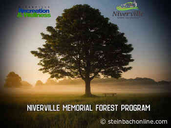 Niverville's Memorial Forest now into it's 2nd year - SteinbachOnline.com