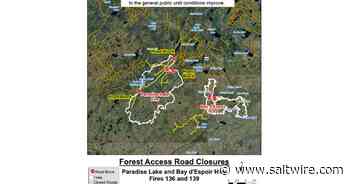 More forest access roads open in Paradise Lake and Bay d’Espoir Highway area - Saltwire