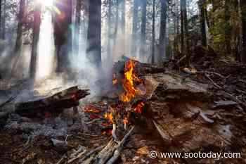 Forest fire west of Pancake Lake not under control - SooToday