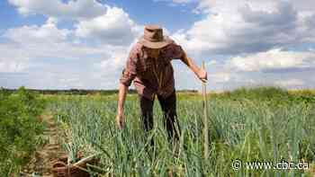 Misinformation, lack of consultations on fertilizer emissions hurting farmers, Alberta producers say