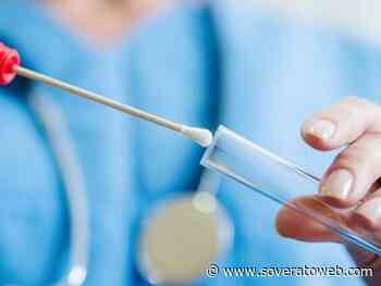 Covid-19, in Calabria 1548 nuovi casi e nessun decesso - Soverato Web