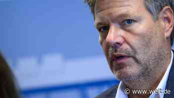 Robert Habeck rechnet mit sinkenden Gaspreisen