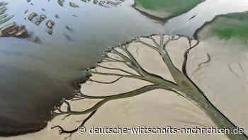 China: Schlimmste Hitzewelle der Geschichte bedroht Wirtschaft