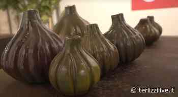 Domani il finissage di Terlizzi Experience - TerlizziLive