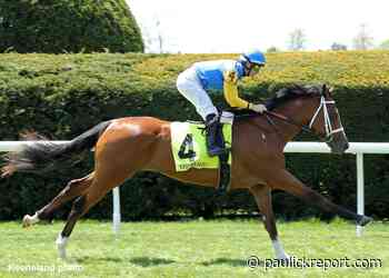 Two-Year-Olds Square Off On Turf In Saratoga's With Anticipation - Horse Racing News - Paulick Report