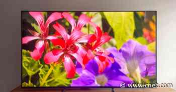 Vizio M-Series Quantum X Review: Bright HDR Picture Made Affordable     - CNET