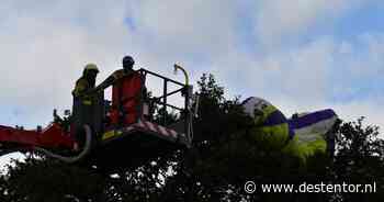 Paraglider komt tijdens landing in boom bij Kloosterhaar terecht - De Stentor