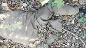 Trovato l’uomo sparito da due anni - IL GIORNO