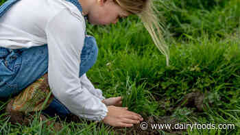 Rumiano Cheese Co. commits to carbon neutrality by 2030