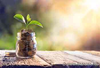 Nachhaltiges Banking: Was passiert mit meinem Geld?