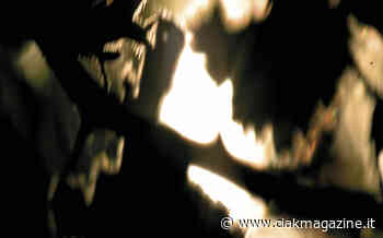 Venezia 79, Carlo Sini al Premio Cinema&Arts nel Venice Production Bridge - Ciak Magazine