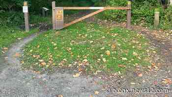 Part of New Jersey hiking trail closed after over 100 black vultures found dead in the area - News 12 Bronx