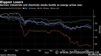 Energy Crisis Tearing Through Markets Leaves a Trail of Losers - BNN Bloomberg